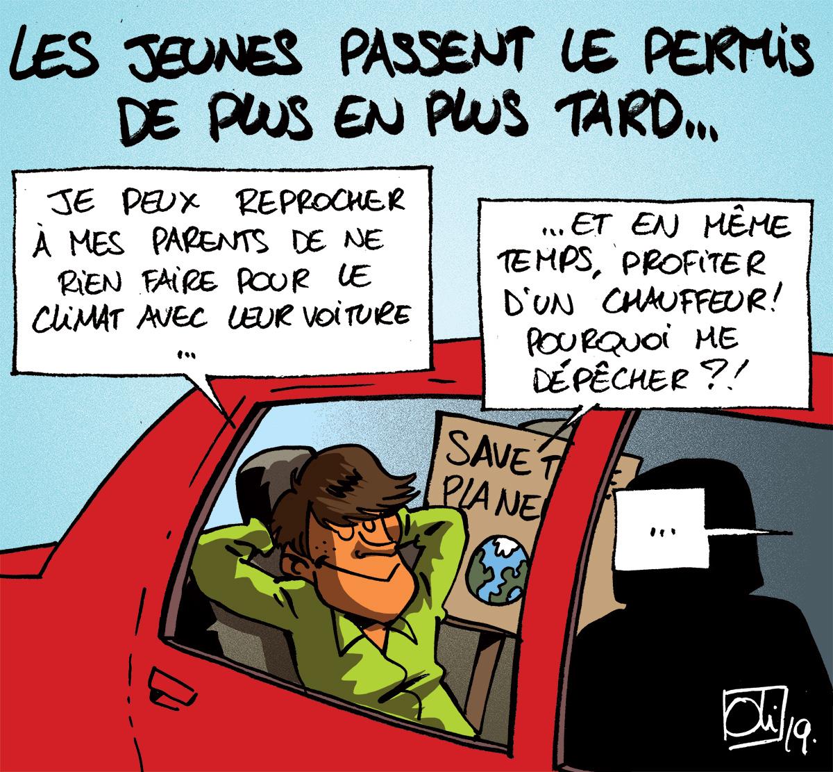 Permis De Conduire | Les Humeurs D'Oli